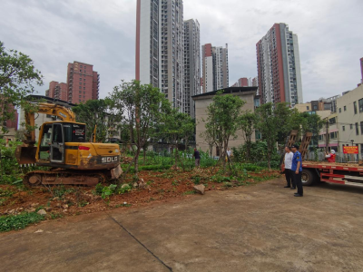 咸安多部门联动 整治收储用地违规种菜现象