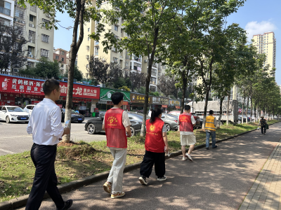 浮山街道：巡查高架除隐患 普法宣传护平安