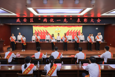 对标先进见贤思齐 实干担当再谱新篇 咸安区“两优一先”表彰大会举行
