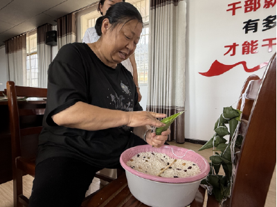 向阳湖镇宝塔村：暖心走访护民生 温情服务暖基层