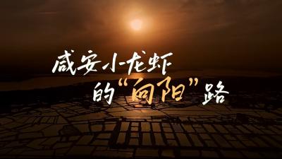 【VLOG】咸安小龙虾的”向阳”路