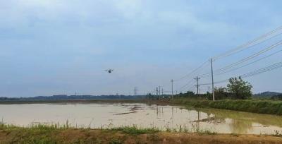 向阳湖镇：全力攻坚土地流转 抢抓农时蓄势赋能