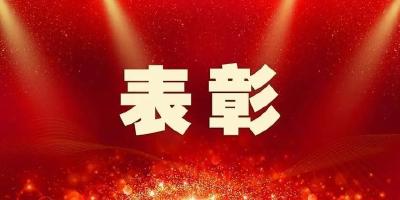 关于咸安区“两优一先”拟表彰对象的公示  