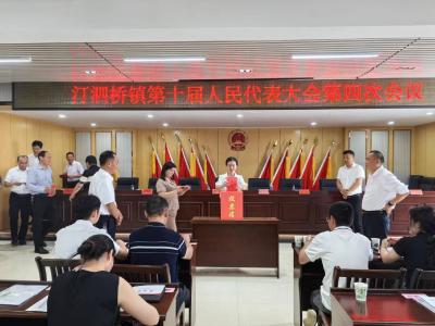 汀泗桥镇十届人大四次会议顺利召开