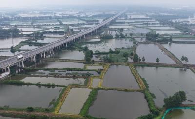 一湖碧水兴百业——向阳湖镇做优“水经济”写活“鱼文章”