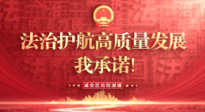 【法治护航高质量发展，我承诺！】第②期 咸安区向阳湖镇