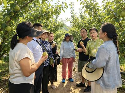 短视频助农出圈 咸安区农广校助力果农纾困拓销