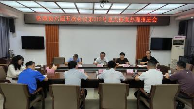 区政协六届五次会议第013号重点提案办理推进会召开