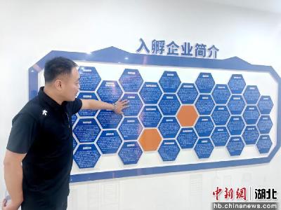 咸宁市咸安区大学生创业创新孵化（科创）中心揭牌