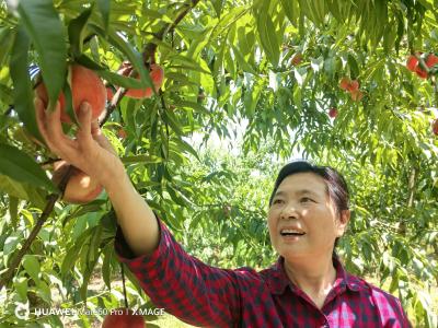 咸安：银发网红奏响田野牧歌