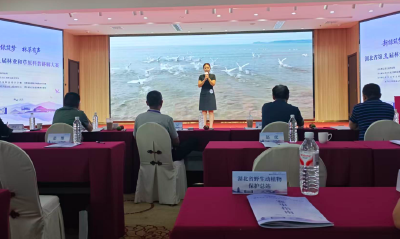 新绿筑梦展风采 湿地故事竞芳华