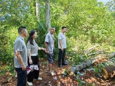 区融媒体中心：听民意、看项目，把问题带回去想办法