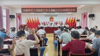 高桥镇第十届人民代表大会第六次会议召开