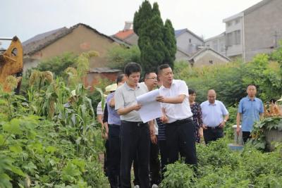 市长调研办理人大代表1号重点建议