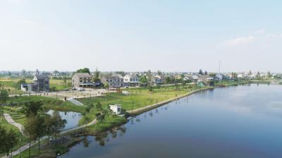 市委农村工作领导小组召开2025年第三次会议