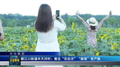 【文化旅游】新江口街道木天河村：做活“花经济”  “颜值”变产值（20240906）