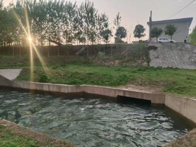 全力以赴，保水“解渴”护春耕