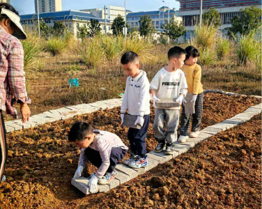 小手沾泥带笑颜！这所幼儿园交出别样“期末卷”