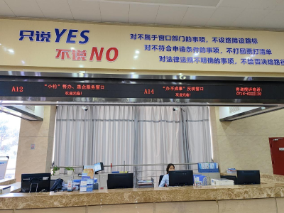 市政务服务中心：“小松”帮办云接力 暖心服务解民忧