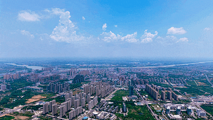 市委市政府专题研究社消零及专业市场工作