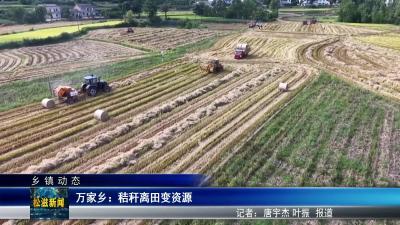 【乡镇动态】万家乡：秸秆离田变资源（20250820）