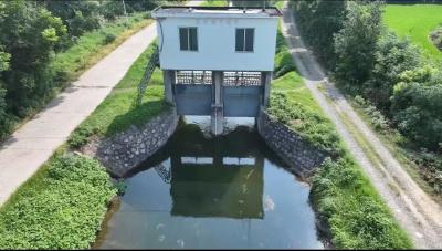 【抗旱在行动】就近提水，3万亩稻田“解渴”