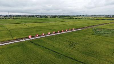 2025年全省农业科技成果转化现场会在松滋召开