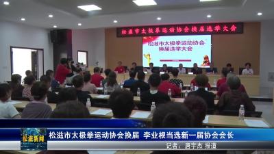 松滋市太极拳运动协会换届  李业根当选新一届协会会长（20250904）