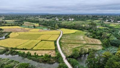 143盏“爱心”路灯，点亮村民回家路