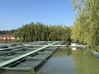 开抢！鲜美“山泉蟹”出水