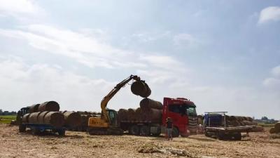 综合利用率超98%！“三大模式”精准破解秸秆离田难题 