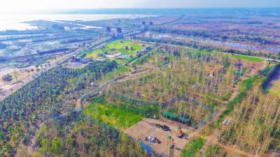 竹楼、越野、军事……小南海畔，度假体验添“新款”