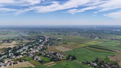 持续提升！“松滋蓝”成常态