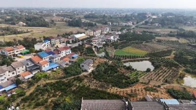 这片苏轼后裔聚居地，正在美丽蝶变