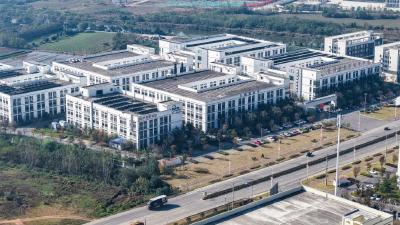 决战四季度 决胜“十四五” | 月产300万只，正在发往德国