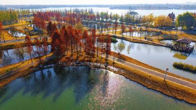 松滋冬日限定“红”，就在稻谷溪