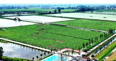 “十四五”·松滋答卷 |  耕耘新希望，绘就好“丰”景​