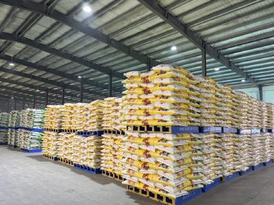 备战春耕，企业生产马力全开