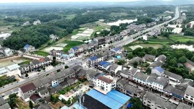 【新春第一会·典型事迹】乐乡街道：打造镇域“小老虎”，服务工业主战场