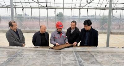 一天300亩，智慧春耕忙