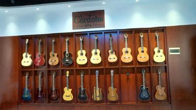 【楚商回乡 创在松滋】吉他工厂搬回“家”，“拨”响返乡创业新乐章