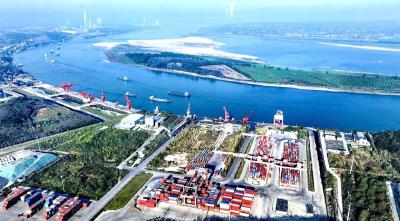 汪卫调研企业运行和项目建设