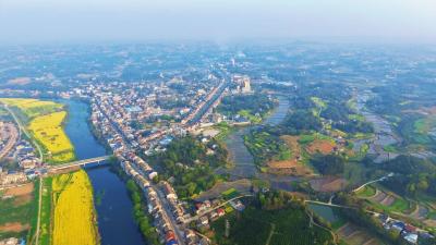 汪卫到杨林市镇调研