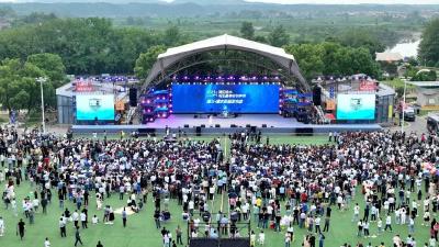 汪卫专题研究文旅工作