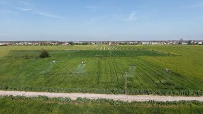 无人机“编队”服务，松滋农机“保姆”护航小麦丰收