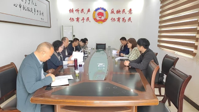 以提案为抓手，筑牢基层供销社为农服务根基