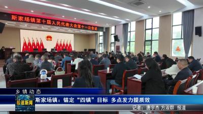 【乡镇动态】斯家场镇：锚定“四镇”目标  多点发力提质效（20260423）