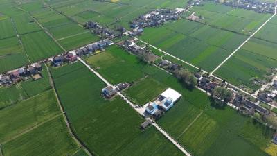 市供销：推广“绿色农资” 助力春耕节本增收