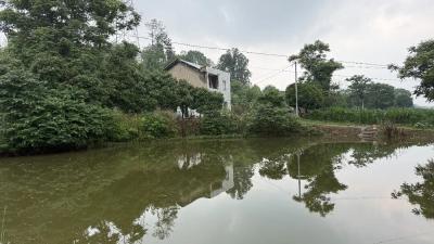 危急关头，父子携手勇救落水姐弟