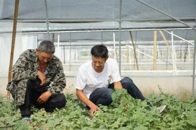 【七一风采·先锋榜样】他是自强模范，更是强村典范